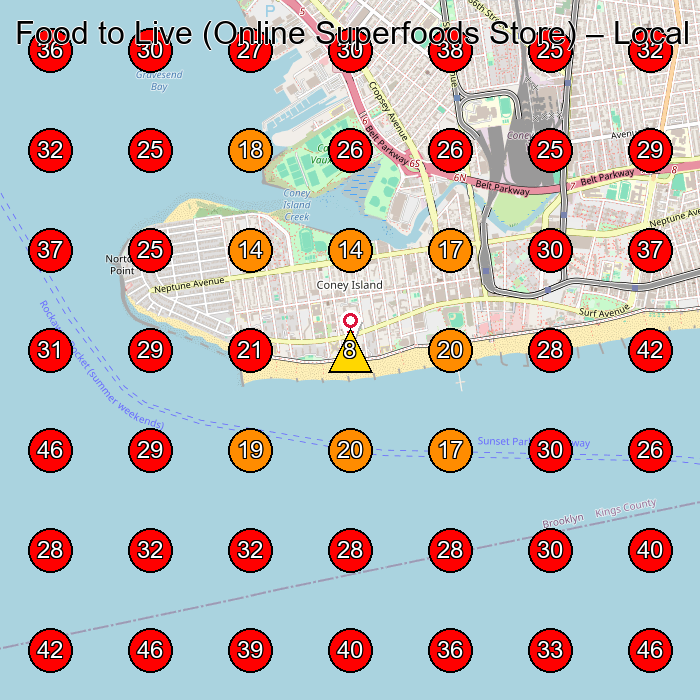 Food to Live (Online Superfoods Store) GeoGrid visibility map for Food Manufacturer in Brooklyn